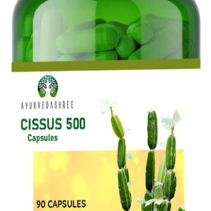 Cápsulas De Cissus Quadrangularis Ayurvedashree 90 X 500 Mg