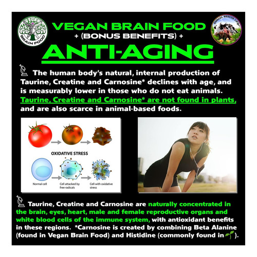 Suplemento Vegano Para Mente E Corpo: A Cereja Essencial - Imagem 3