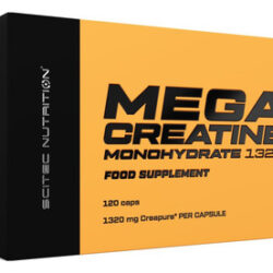 Scitec Nutrition Scitec Mega Creatina Monohidratada 120