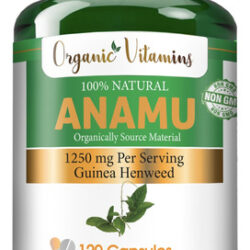Suplemento Allnue Vitamisan Anamu 1250mg 120 Cápsulas