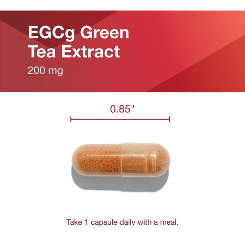 Protocolo Para Equilíbrio De Vida Extrato De Chá Verde Egcg - Imagem 6