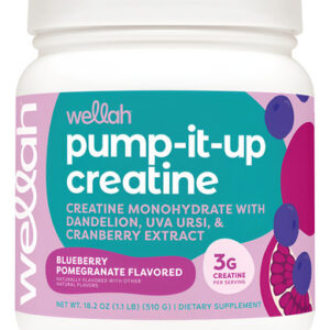 Suplemento De Creatina Wellah Pump-it-up 100 Porções