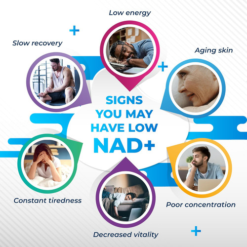Nurafuse Liposomal Nad+ Trans-resveratrol 6000mg Com Vinho T - Imagem 9