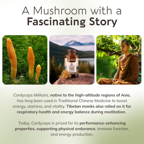 Cápsulas De Cogumelo Cordyceps Orgânico Longevity Botanicals - Imagem 17
