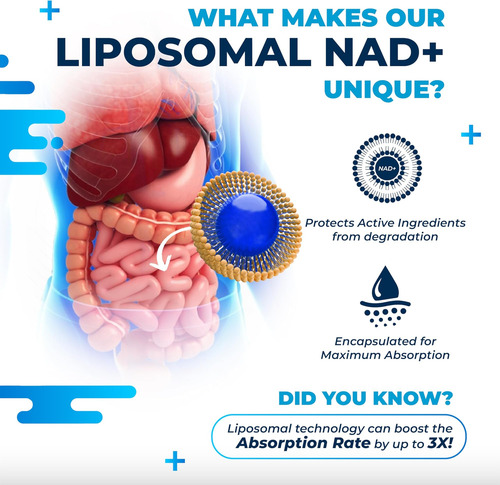 Nurafuse Liposomal Nad+ Trans-resveratrol 6000mg Com Vinho T - Imagem 12