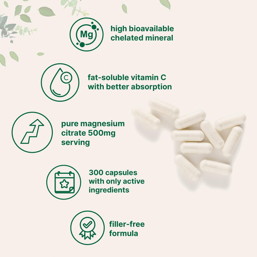 Suplementos Microingredientes Citrato De Magnésio Puro 500mg - Imagem 3
