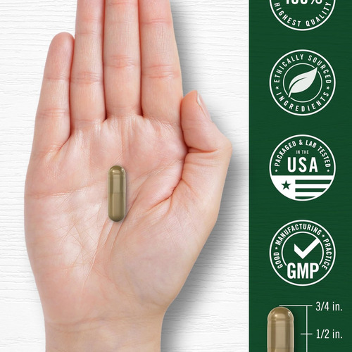 Cápsulas De Absinto Carlyle 430 Mg | 200 Unidades Sem Ogm - Imagem 4