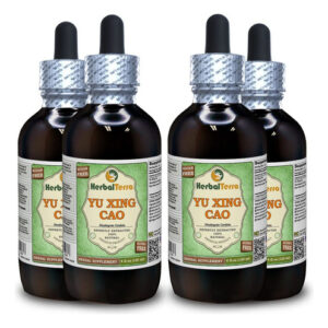 Herbal Terra Llc Yu Xing Cao Glicerita Sem Álcool 480 Ml