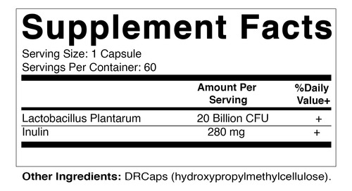 Suplemento Vitamático Lactobacillus Plantarum 20b 60 Cápsula - Imagem 2