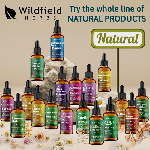 Extrato De Astragalus Wildfield Herbs 2 Oz, 2000mg, Sem Sabo - Imagem 4