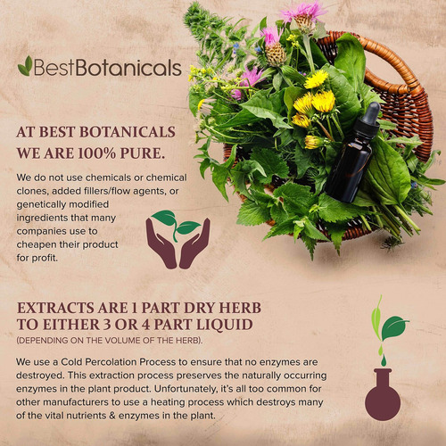 Pó De Folha De Alfafa Orgânica Botanicals 4 - Imagem 2