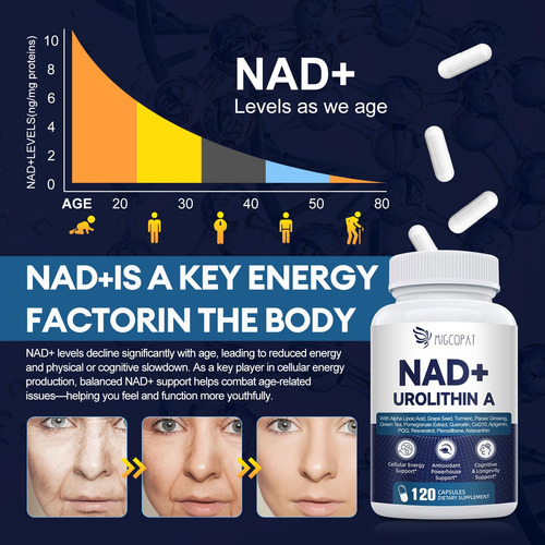 Suplemento Nad+ Migcopat Nad Com 300 Mg De Urolitina A 120 C - Imagem 5