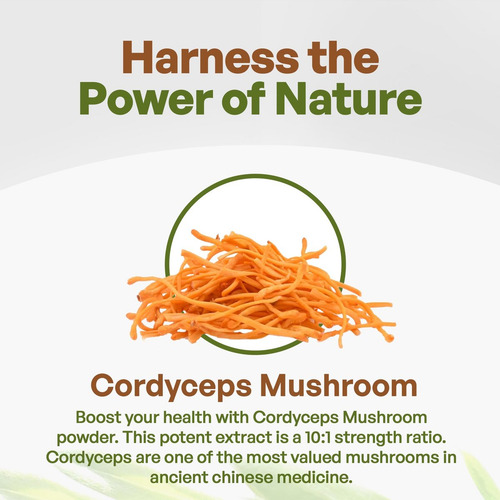 Pó De Cordyceps Go Nutra 113 G | Extrato 30% - Imagem 3