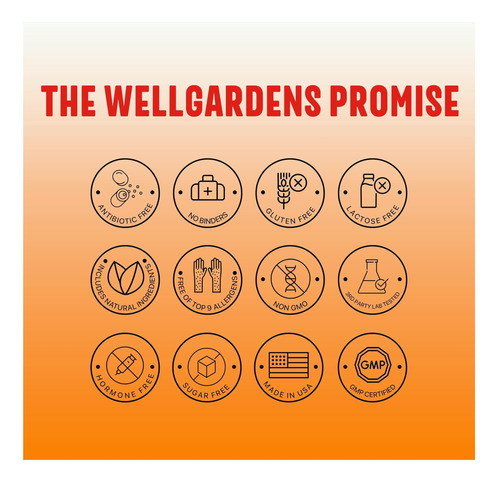 Wellgardens 100% Multivitamínico Feminino Puro Para Do + Nos - Imagem 12