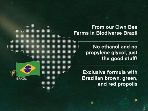 Naturanectar Própolis Abelha Vermelha | Certificado De Conte - Imagem 8