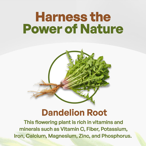 Suplemento Go Nutra Dandelion Root Powder 454g - Imagem 3