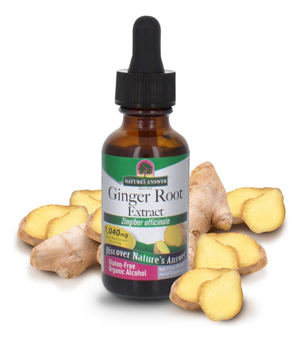 Suplemento Nature"s Answer Extrato De Raiz De Gengibre 30ml