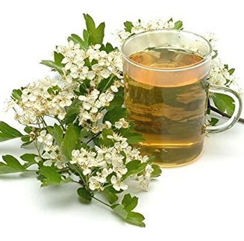 Chá Natural De Espinheiro - Folha E Flor De Crataegus Laevig - Imagem 3