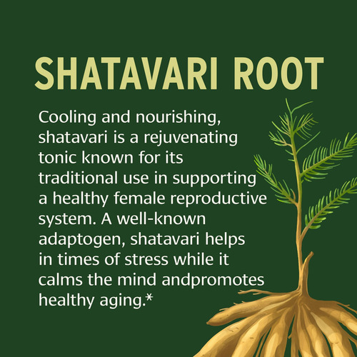 Comprimidos Banyan Botanicals Shatavari - Raiz De Espargos R - Imagem 12