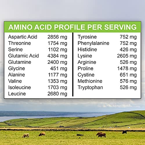 Proteína Whey Isolada Em Pó Alimentada Com Pasto - Sabor Cr - Imagem 4