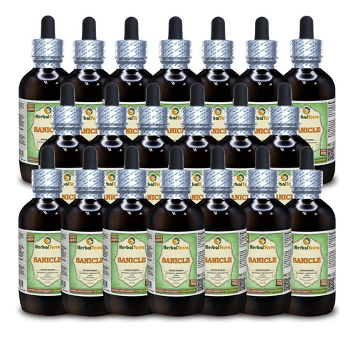 Herbal Terra Llc Sanicle Glicerita Sem Álcool 20x120 Ml - Imagem 2