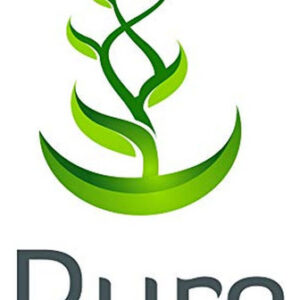 Ingredientes Originais Puros Raiz De Maca Pura - 100 Cápsula