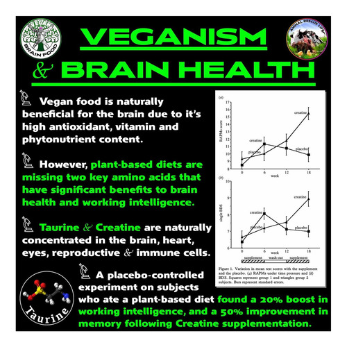 Suplemento Vegano Para Mente E Corpo: A Cereja Essencial - Imagem 4