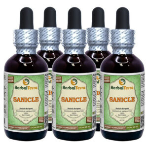 Herbal Terra Llc Sanicle Glicerita 5x60 Ml Sem Álcool