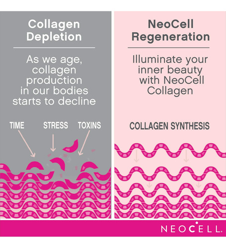 Suplemento Neocell Super Collagen Peptídeos Sem Sabor 625 Ml - Imagem 6