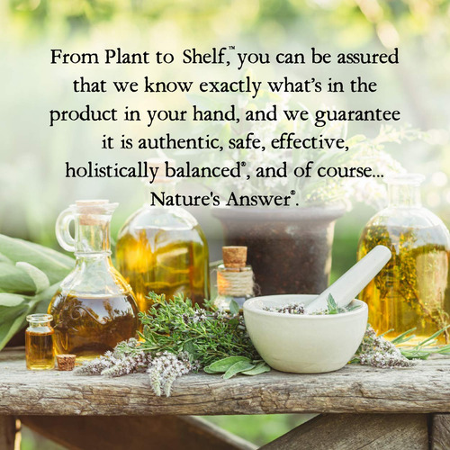 Suplemento Nature"s Answer Extrato De Raiz De Gengibre 30ml - Imagem 6