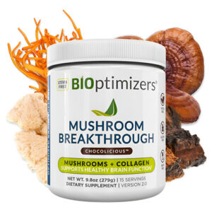Suplemento Bioptimizadores Mushroom Breakthrough Chocolate