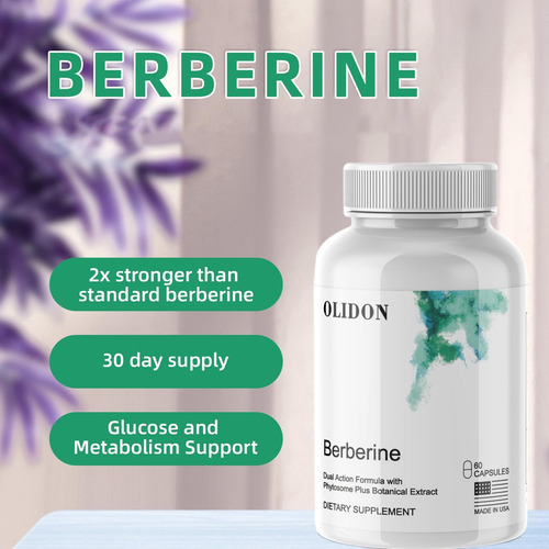 Olidon New Berberine Suplementos 1000mg Por Garrafa - 30 Por - Imagem 4