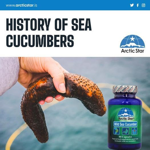 Arctic Star - Cápsulas De Pepino Do Mar - Natural Pure Islân - Imagem 5
