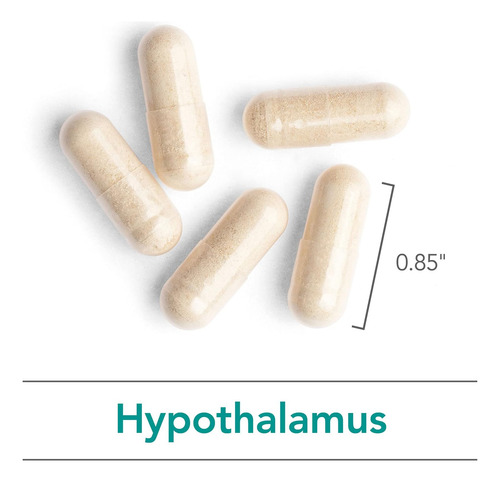 Suplemento De Hipotálamo Nutricológico - Suporte Endócrino, - Imagem 5