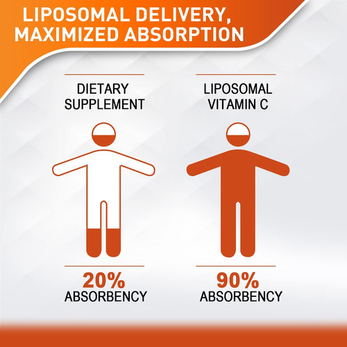 Vitamina C Lipossomal 2.000 Mg Líquida Para Adultos, Vit C D - Imagem 2
