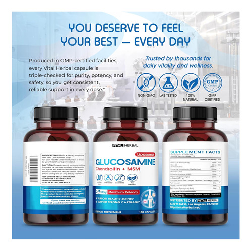 Vital Lipossamina Lipossomal De Ervas Com Condroitina, Msm- - Imagem 9