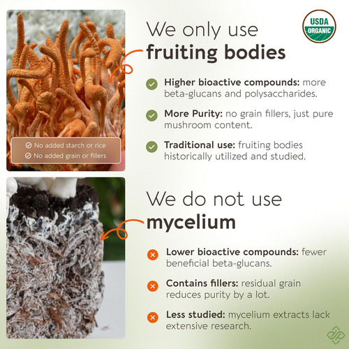 Cápsulas De Cogumelo Cordyceps Orgânico Longevity Botanicals - Imagem 3