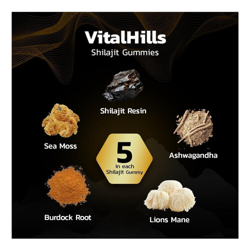 Himalaia Shilajit Gummies For Men & Women Honey & Cherry Com - Imagem 3