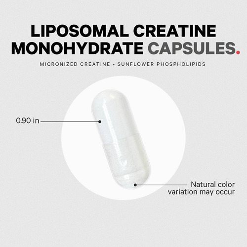 Suplemento Monohidrato De Creatina Lipossômica De Codéia, Su - Imagem 5