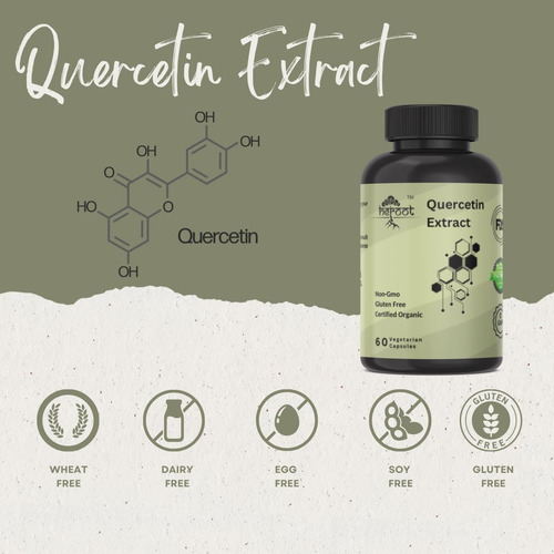 Cápsulas De Extrato De Quercetina Heroot Sem Ogm, Sem Glúten - Imagem 3