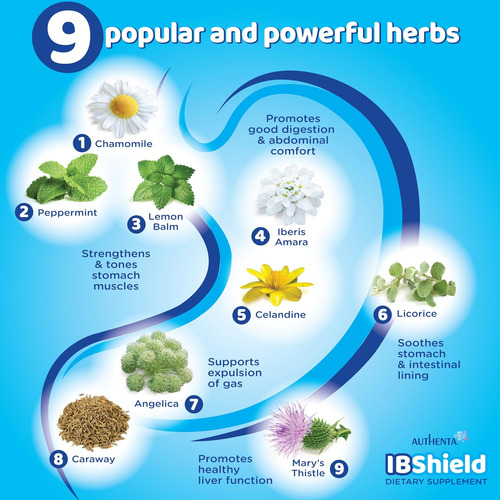 Ibshield Glicerina 100ml | 6+3 =9 Ervas | Iberis Amara, Hort - Imagem 3