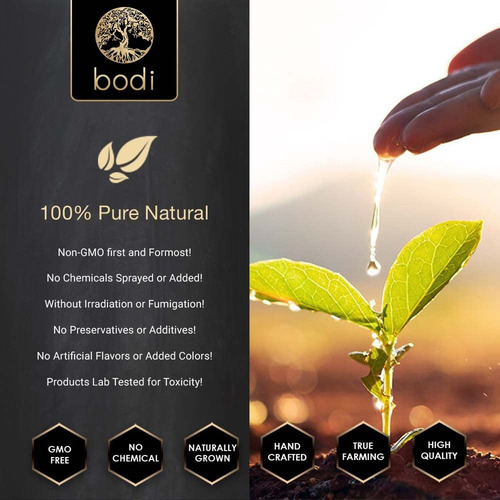 Pó De Cogumelo Shiitake 100% Natural Bodi 4 Oz A 5 Lb - Imagem 4