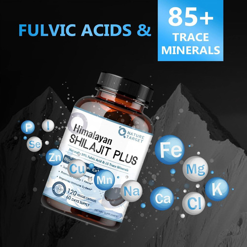 Suplemento Shilajit Nature Target Pure Himalayan 500 Mg 120 - Imagem 4