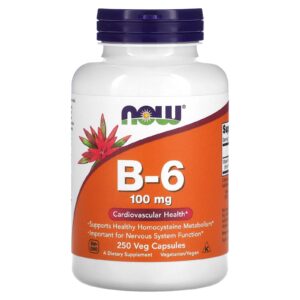 NOW Foods B-6 100 mg 250 Cápsulas Vegetais