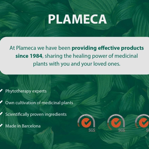 Plameca Healthy Digestion: Alívio E Suporte Para Inchaço - Imagem 3