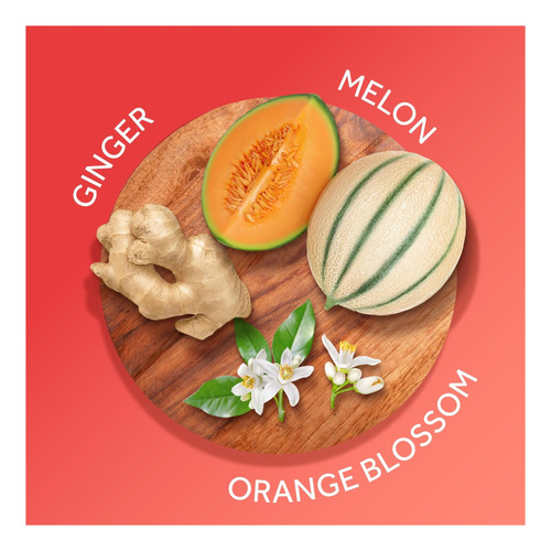 Creme Corporal Nutritivo Calgon Para A Pele 023 Kg - Imagem 2