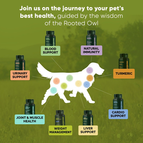 Suplemento De L-carnitina Rooted Owl Para Animais De Estimaç - Imagem 5