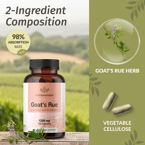 Cápsulas De Arruda De Cabra Herbamama 1200 Mg Galega Officin - Imagem 4