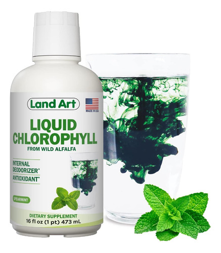 Clorofila Líquida Com Sabor Menta - Extraída A Frio De Alfaf - Imagem 6