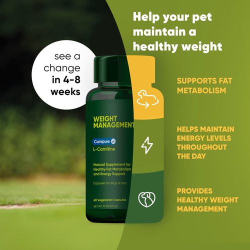 Suplemento De L-carnitina Rooted Owl Para Animais De Estimaç - Imagem 7
